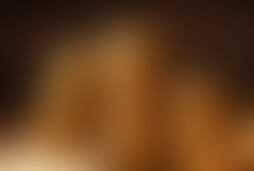 Фотография квеста Золотая Лихорадка от компании LOGIC QUEST (Фото 1)