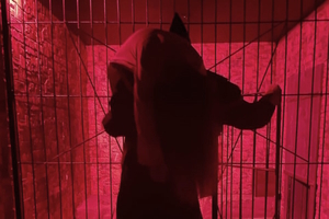 Фотография перформанса Легенда Торквемады от компании Атмосфера (Фото 1)