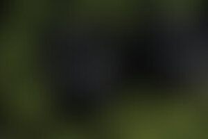 Фотография экшн-игры Прятки в Лабиринте от компании QuestQuest (Фото 1)