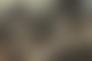 Фотография перформанса Апокалипсис от компании Изгнание (Фото 1)