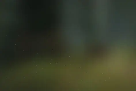 VR-квест «The Forest» от Matrix