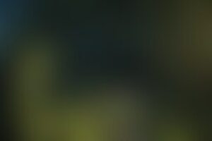 Фотография квеста Высшая лига от компании Побег (Фото 1)