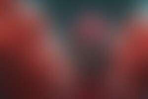 Фотография квеста-анимации Игра в кальмара от компании Круто Пати (Фото 1)