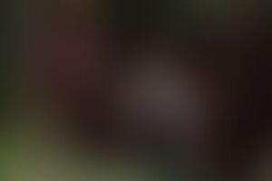 Фотография квеста Хозяйка от компании Сказки на ночь (Фото 1)